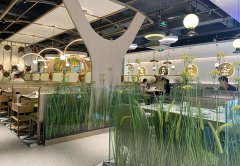 餐廳生意不好應(yīng)該怎么辦，餐飲老兵的8條建議：其中有幾條餐飲人都踩過！
